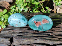 Polished Emerald Mtorolite Free Forms x 12 From Mutorashanga, Zimbabwe - Toprock Gemstones and Minerals 