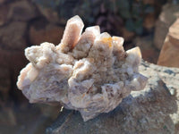 Natural Golden Limonite Coated Fairy Spirit Quartz Clusters x 4 From Boekenhouthoek, South Africa
