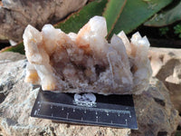 Natural Golden Limonite Coated Fairy Spirit Quartz Clusters x 4 From Boekenhouthoek, South Africa