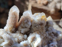 Natural Golden Limonite Coated Fairy Spirit Quartz Clusters x 4 From Boekenhouthoek, South Africa