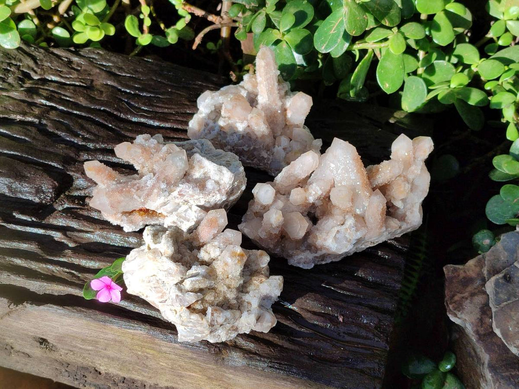 Natural Golden Limonite Coated Fairy Spirit Quartz Clusters x 4 From Boekenhouthoek, South Africa - Toprock Gemstones and Minerals 