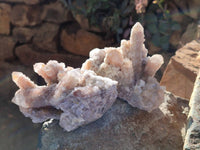 Natural Golden Limonite Coated Fairy Spirit Quartz Clusters x 4 From Boekenhouthoek, South Africa