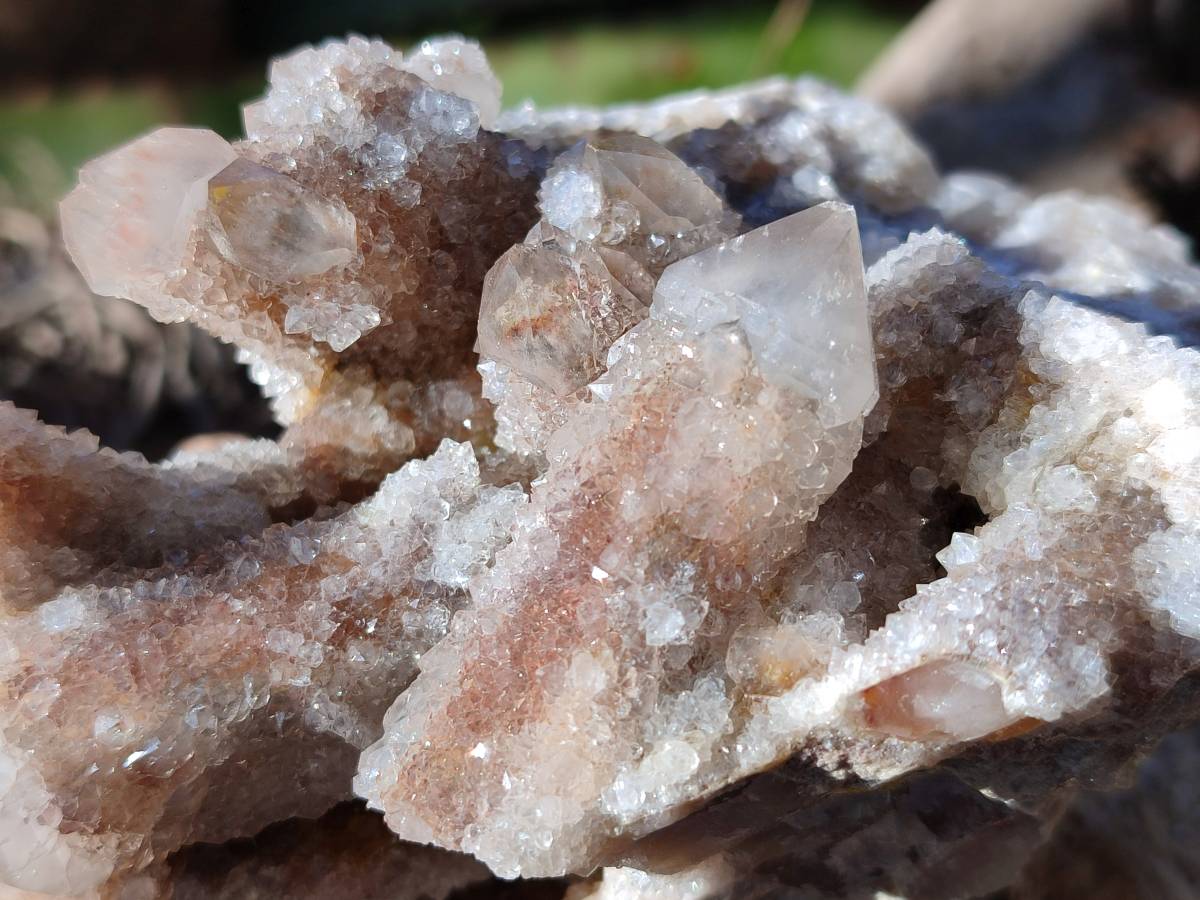 Natural Golden Limonite Coated Fairy Spirit Quartz Clusters x 4 From Boekenhouthoek, South Africa - Toprock Gemstones and Minerals 