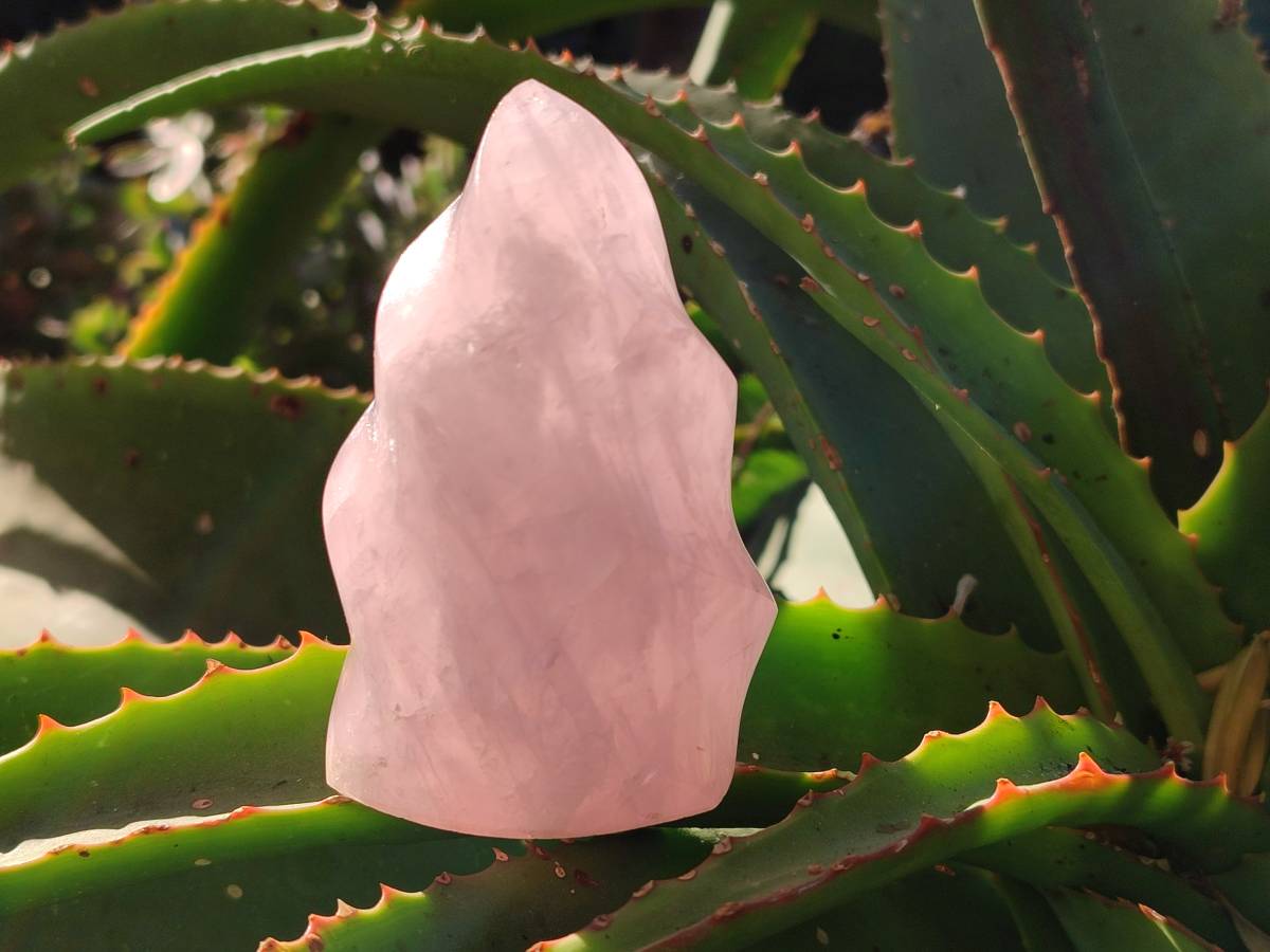 Polished Gemmy Rose Quartz Flames x 2 Madagascar - Toprock Gemstones and Minerals 