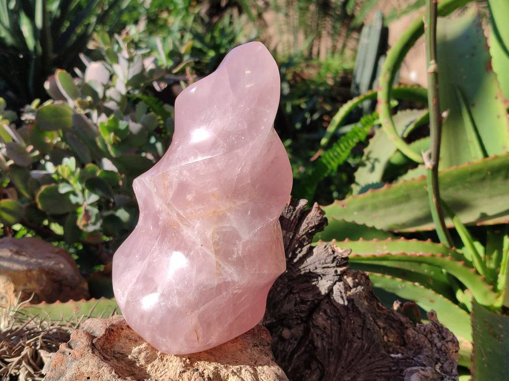 Polished Gemmy Rose Quartz Flames x 2 Madagascar - Toprock Gemstones and Minerals 