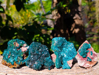 Natural Dioptase Crystals with Malachite on Dolomite Matrix Specimens x 6 From Likasi, Congo - Toprock Gemstones and Minerals 