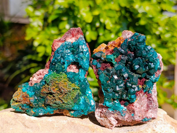 Natural Dioptase Crystals with Malachite on Dolomite Matrix Specimens x 6 From Likasi, Congo