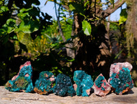 Natural Dioptase Crystals with Malachite on Dolomite Matrix Specimens x 6 From Likasi, Congo - Toprock Gemstones and Minerals 