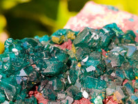 Natural Dioptase Crystals with Malachite on Dolomite Matrix Specimens x 6 From Likasi, Congo - Toprock Gemstones and Minerals 