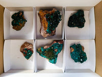 Natural Dioptase Crystals with Malachite on Dolomite Matrix Specimens x 6 From Likasi, Congo - Toprock Gemstones and Minerals 