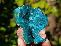 Natural Dioptase Crystals with Malachite on Dolomite Matrix Specimens x 6 From Likasi, Congo - Toprock Gemstones and Minerals 