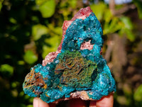 Natural Dioptase Crystals with Malachite on Dolomite Matrix Specimens x 6 From Likasi, Congo - Toprock Gemstones and Minerals 