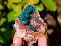 Natural Dioptase Crystals with Malachite on Dolomite Matrix Specimens x 6 From Likasi, Congo - Toprock Gemstones and Minerals 