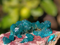 Natural Dioptase Crystals with Malachite on Dolomite Matrix Specimens x 6 From Likasi, Congo - Toprock Gemstones and Minerals 