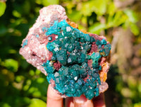 Natural Dioptase Crystals with Malachite on Dolomite Matrix Specimens x 6 From Likasi, Congo - Toprock Gemstones and Minerals 