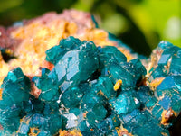 Natural Dioptase Crystals with Malachite on Dolomite Matrix Specimens x 6 From Likasi, Congo - Toprock Gemstones and Minerals 