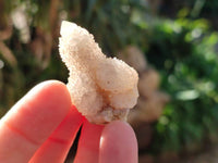 Natural Golden Limonite Fairy Spirit Quartz Single Crystals x 70 From South Africa - Toprock Gemstones and Minerals 