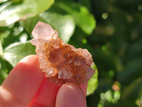 Natural Golden Limonite Fairy Spirit Quartz Single Crystals x 70 From South Africa - Toprock Gemstones and Minerals 