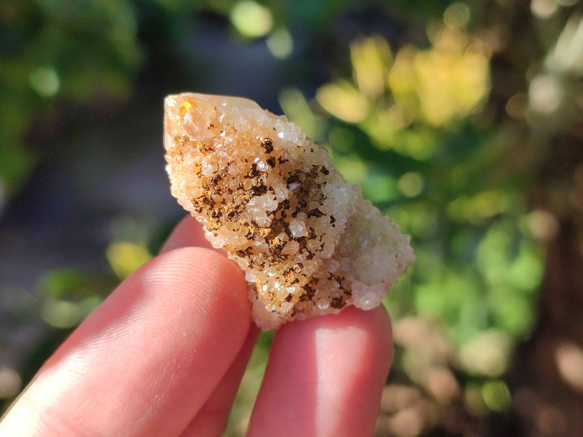 Natural Golden Limonite Fairy Spirit Quartz Single Crystals x 70 From South Africa - Toprock Gemstones and Minerals 