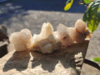 Natural Golden Limonite Fairy Spirit Quartz Single Crystals x 70 From South Africa - Toprock Gemstones and Minerals 