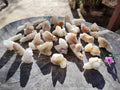 Natural Golden Limonite Fairy Spirit Quartz Single Crystals x 70 From South Africa - Toprock Gemstones and Minerals 