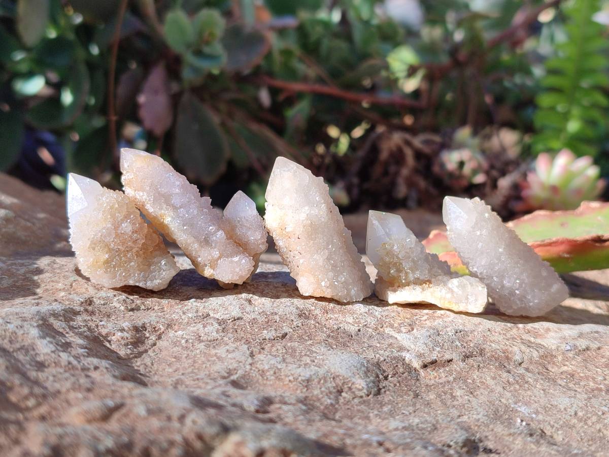 Natural Golden Limonite Fairy Spirit Quartz Single Crystals x 70 From South Africa - Toprock Gemstones and Minerals 