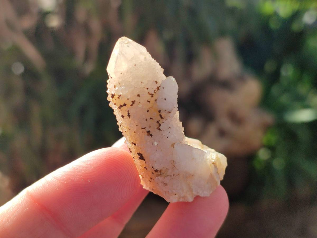 Natural Golden Limonite Fairy Spirit Quartz Single Crystals x 70 From South Africa - Toprock Gemstones and Minerals 