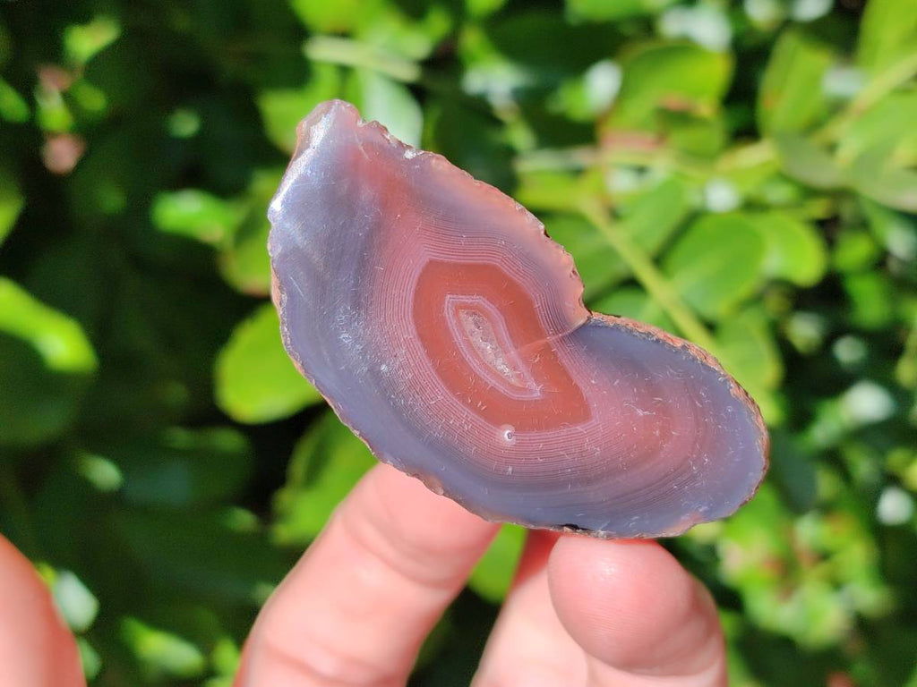 Polished On One Side Red Sashe River Agate Nodules x 12 From Zimbabwe - Toprock Gemstones and Minerals 