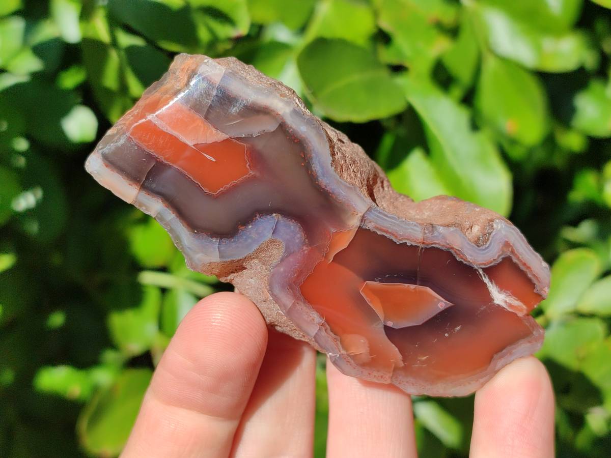 Polished On One Side Red Sashe River Agate Nodules x 12 From Zimbabwe - Toprock Gemstones and Minerals 