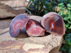 Polished On One Side Red Sashe River Agate Nodules x 12 From Zimbabwe - Toprock Gemstones and Minerals 