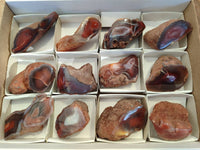 Polished On One Side Red Sashe River Agate Nodules x 12 From Zimbabwe - Toprock Gemstones and Minerals 