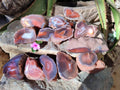 Polished On One Side Red Sashe River Agate Nodules x 12 From Zimbabwe - Toprock Gemstones and Minerals 