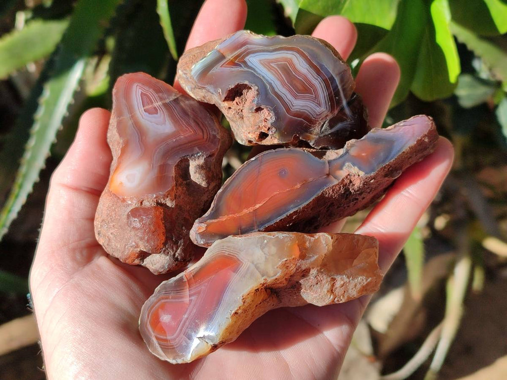 Polished On One Side Red Sashe River Agate Nodules x 12 From Zimbabwe - Toprock Gemstones and Minerals 