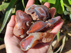Polished On One Side Red Sashe River Agate Nodules x 12 From Zimbabwe - Toprock Gemstones and Minerals 