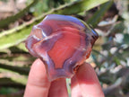 Polished On One Side Red Sashe River Agate Nodules x 12 From Zimbabwe - Toprock Gemstones and Minerals 