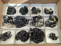 Natural Schorl Black Tourmaline Specimens x 12 From Erongo, Namibia