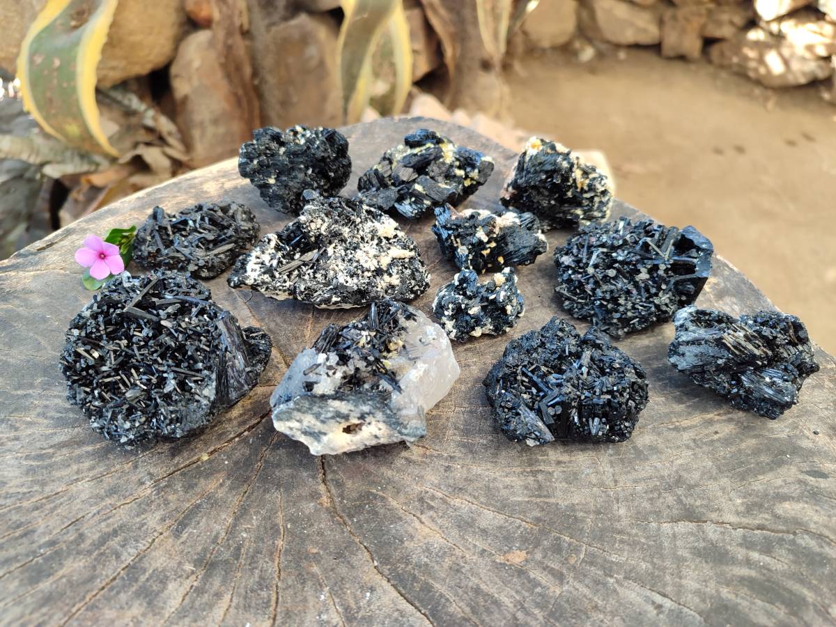 Natural Schorl Black Tourmaline Specimens x 12 From Erongo, Namibia - Toprock Gemstones and Minerals 