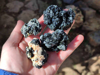 Natural Schorl Black Tourmaline Specimens x 12 From Erongo, Namibia