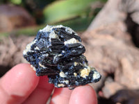 Natural Schorl Black Tourmaline Specimens x 12 From Erongo, Namibia