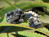 Natural Schorl Black Tourmaline Specimens x 12 From Erongo, Namibia