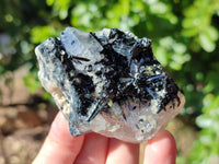 Natural Schorl Black Tourmaline Specimens x 12 From Erongo, Namibia