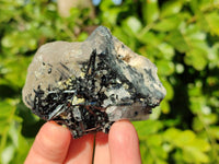 Natural Schorl Black Tourmaline Specimens x 12 From Erongo, Namibia