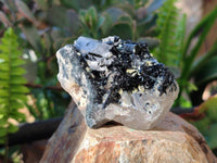 Natural Schorl Black Tourmaline Specimens x 12 From Erongo, Namibia
