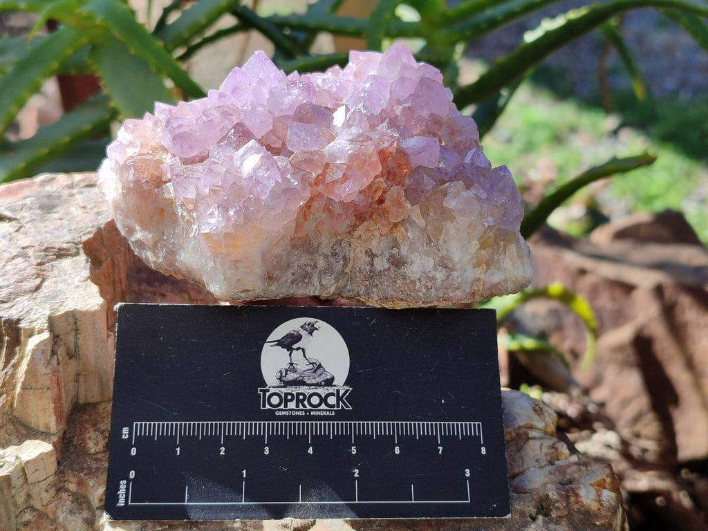 Natural Smokey Amethyst Spirit Quartz Clusters x 3 From Boekenhouthoek, South Africa - Toprock Gemstones and Minerals 