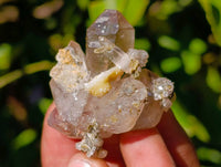 Natural Mixed Window Amethyst and Smokey Quartz Crystals x 35 From Brandberg, Namibia - Toprock Gemstones and Minerals 