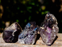 Natural Mixed Window Amethyst and Smokey Quartz Crystals x 35 From Brandberg, Namibia - Toprock Gemstones and Minerals 
