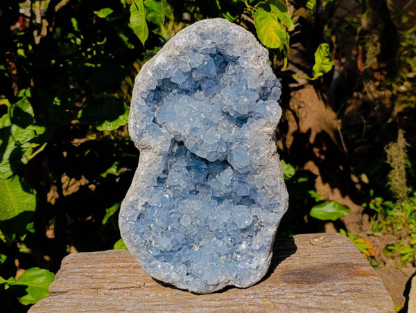 Natural Extra Large Celestite Geode Specimen x 1 From Sakoany, Madagascar