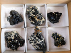 Natural Schorl Black Tourmaline Specimens x 6 From Erongo, Namibia - Toprock Gemstones and Minerals 