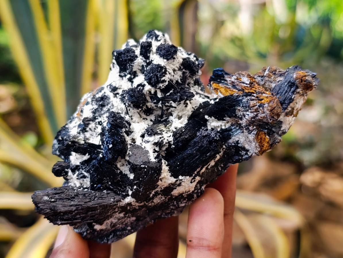 Natural Schorl Black Tourmaline Specimens x 6 From Erongo, Namibia - Toprock Gemstones and Minerals 