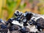 Natural Schorl Black Tourmaline Specimens x 6 From Erongo, Namibia - Toprock Gemstones and Minerals 